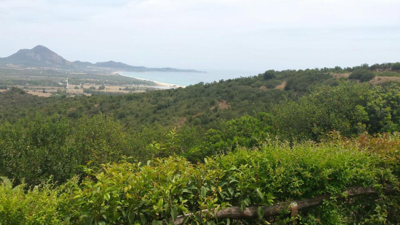 Casa Nanny Villetta Panoramica 코스타 레이 외부 사진